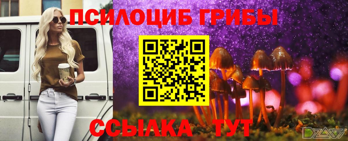 Кировск  Псилоцибиновые грибы Magic Shrooms  Галлюциногенные грибы Psilocybine cubensis  Вход с VPN 